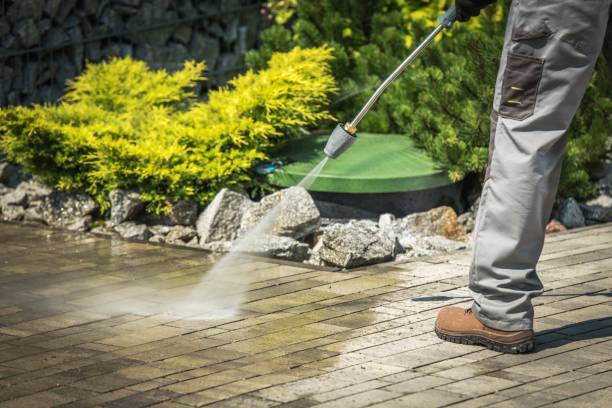 Best Driveway Pressure Washing  in Port Carbon, PA